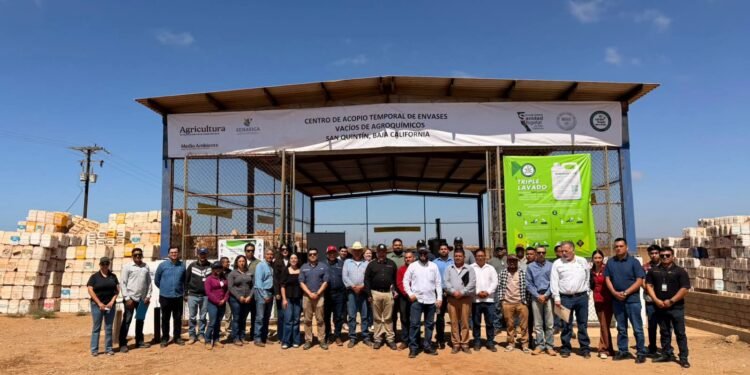 Abren crédito para productores de bovino-carne en Campeche