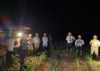 ¿Te afectó el apagón? CFE apunta a vandalismo en líneas de alta tensión