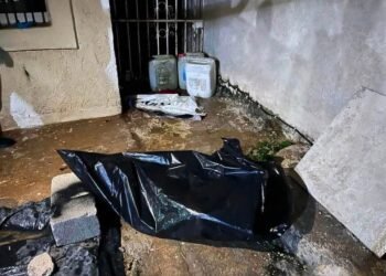 ¿Podría pasarle a tu mascota? Perro muere atrapado durante una tormenta