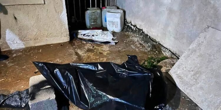 ¿Podría pasarle a tu mascota? Perro muere atrapado durante una tormenta