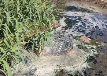 ¡Se llevan hasta la bomba! Delincuentes desmantelan cárcamo