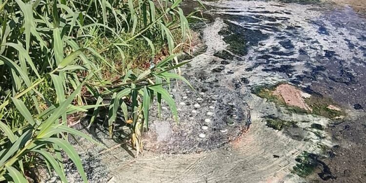¡Se llevan hasta la bomba! Delincuentes desmantelan cárcamo