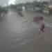 ¿Tu ruta está inundada? Autoridades piden no arriesgarse