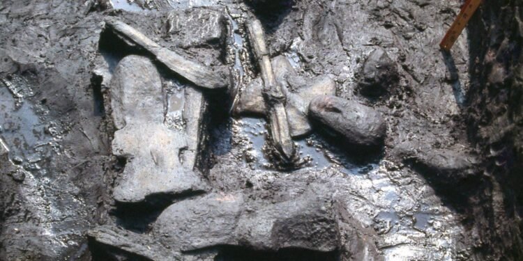 ¿Qué escondían los manantiales sagrados? El Manatí vuelve a revelar sus secretos