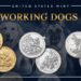 ¿Perros en las monedas? Así será el homenaje de Estados Unidos para 2027