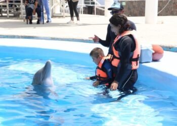 Una muerte por esclarecer: Moana falleció bajo resguardo del Delfinario Sonora