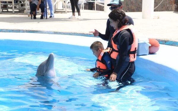 Una muerte por esclarecer: Moana falleció bajo resguardo del Delfinario Sonora