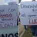 Protestan trabajadores del IMSS en Campeche; advierten falta de insumos para atender pacientes
