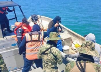 Aseguran 835 kilos de ostión en Ciudad del Carmen