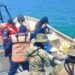 Aseguran 835 kilos de ostión en Ciudad del Carmen