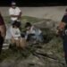 Una llamada al 911 pone a salvo más de 150 huevos de tortuga en Carmen