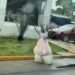 Un vestido y un abrigo contra la lluvia: la escena que llamó la atención en Carmen