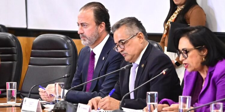 Las importaciones tendrán mayor revisión documental: CAAAREM