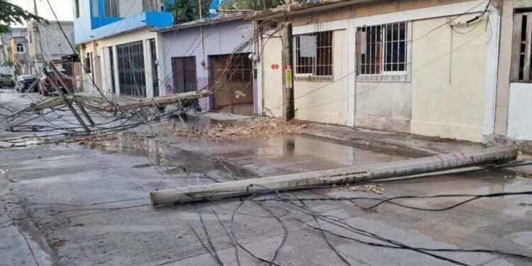 Dos postes de la CFE se desploman en Bivalvo; familias quedan a oscuras por más de 12 horas