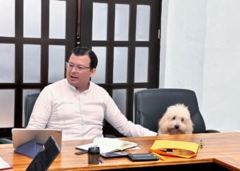 ¡Se reabre el caso! Ordenan investigar a titular del Poder Judicial de Campeche por violencia de género