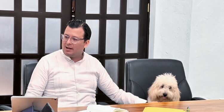 ¡Se reabre el caso! Ordenan investigar a titular del Poder Judicial de Campeche por violencia de género