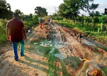 ¡Basta de caminos intransitables! Campesinos y menonitas hacen el trabajo