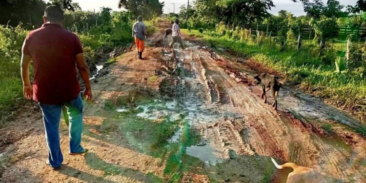 ¡Basta de caminos intransitables! Campesinos y menonitas hacen el trabajo