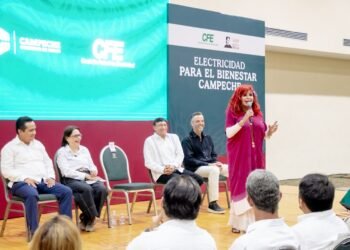 ¿Mejorará la luz? CFE anuncia inversión de más de 2 mil 400 millones