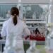 ¿Se escapó la peste de un laboratorio? Esto se sabe del caso que preocupa a EU
