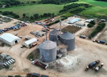 ¿Volverán los tractores al campo? Menonitas esperan recuperar sus tierras