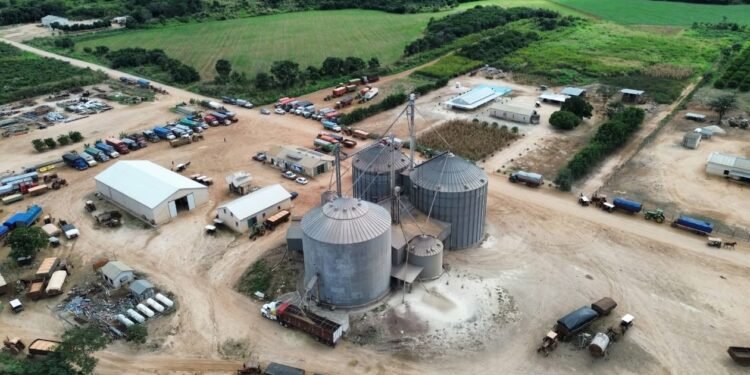 ¿Volverán los tractores al campo? Menonitas esperan recuperar sus tierras