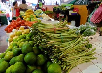¿Cuánto te costará el pibipollo este año? El xpelón ya tiene precio en Calkiní