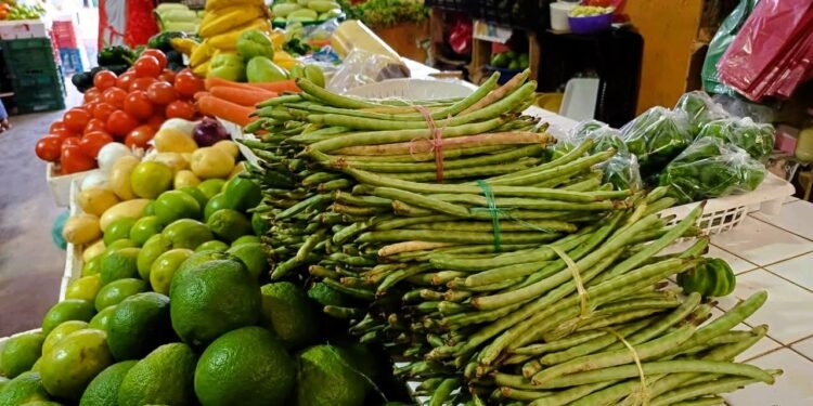 ¿Cuánto te costará el pibipollo este año? El xpelón ya tiene precio en Calkiní